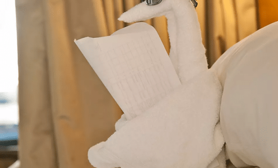Folding Artistry